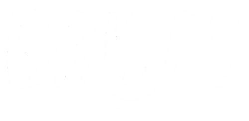 Logo Brisas Natural